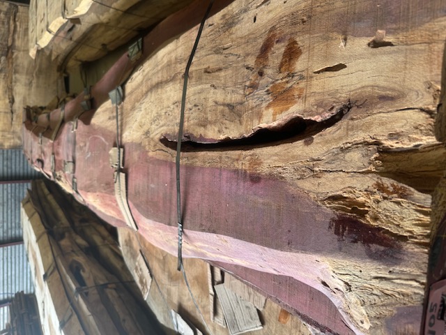 Figured tropical hardwood live-edge slab